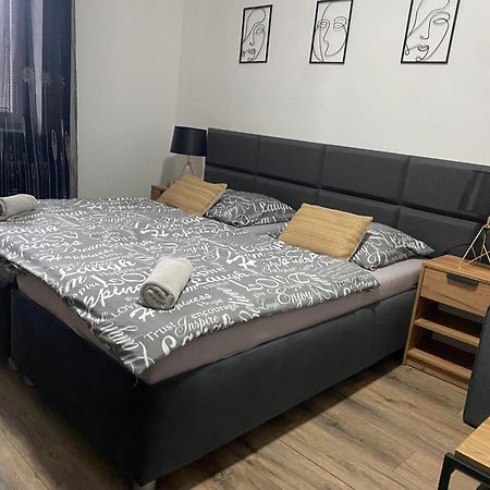 Cerna Ruze - Apartman 4 Плзень Екстер'єр фото